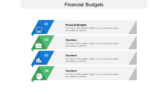 Financial Budgets Ppt PowerPoint Presentation Styles Example File Cpb Financial Budgets Ppt PowerPoint Presentation Styles Example File Cpb