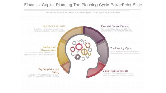 Financial Capital Planning The Planning Cycle Powerpoint Slide
