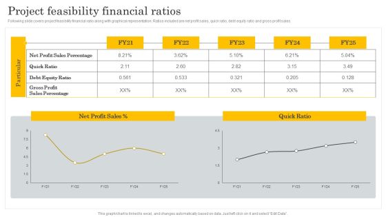 Financial Evaluation Report Project Feasibility Financial Ratios Mockup PDF