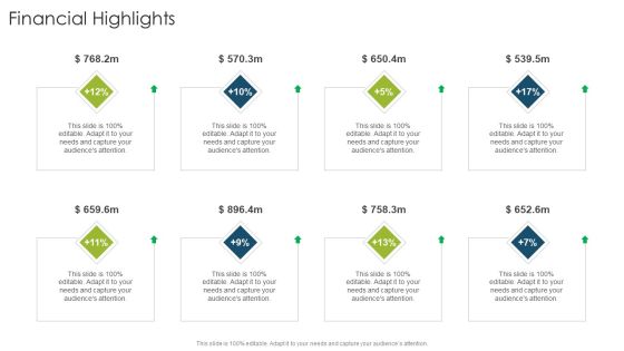 Financial Highlights Organizational Strategies And Promotion Techniques Sample PDF