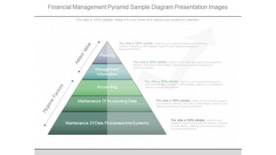 Financial Management Pyramid Sample Diagram Presentation Images Financial Management Pyramid Sample Diagram Presentation Images