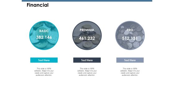 Financial Ppt PowerPoint Presentation Infographic Template Guide