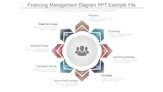 Financing Management Diagram Ppt Example File Financing Management Diagram Ppt Example File