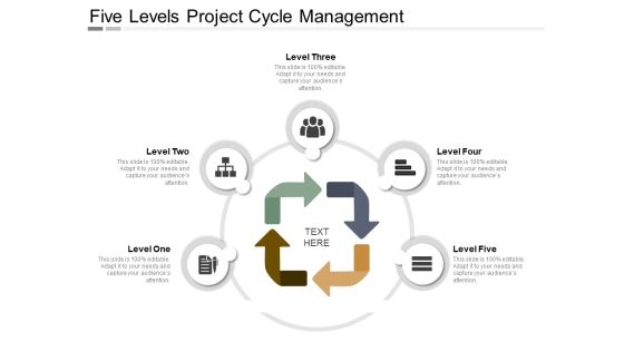 Five Levels Project Cycle Management Ppt PowerPoint Presentation Styles Format