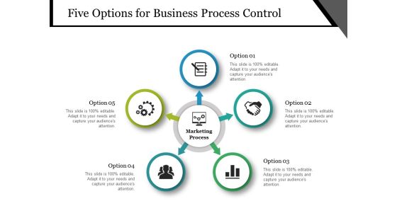 Five Options For Business Process Control Ppt PowerPoint Presentation Show Professional Five Options For Business Process Control Ppt PowerPoint Presentation Show Professional