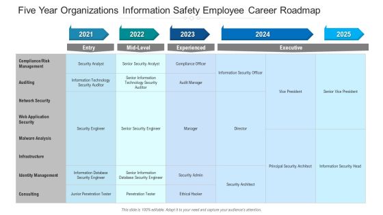 Five Year Organizations Information Safety Employee Career Roadmap Formats