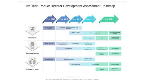 Five Year Product Director Development Assessment Roadmap Diagrams