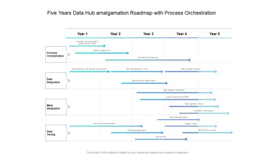 Five Years Data Hub Amalgamation Roadmap With Process Orchestration Themes Five Years Data Hub Amalgamation Roadmap With Process Orchestration Themes