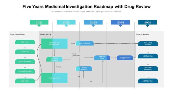 Five Years Medicinal Investigation Roadmap With Drug Review Portrait Five Years Medicinal Investigation Roadmap With Drug Review Portrait
