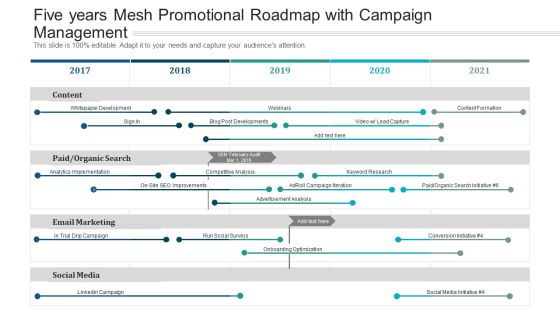 Five Years Mesh Promotional Roadmap With Campaign Management Information