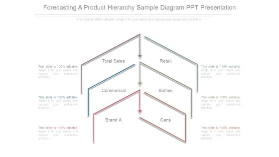 Forecasting A Product Hierarchy Sample Diagram Ppt Presentation Forecasting A Product Hierarchy Sample Diagram Ppt Presentation
