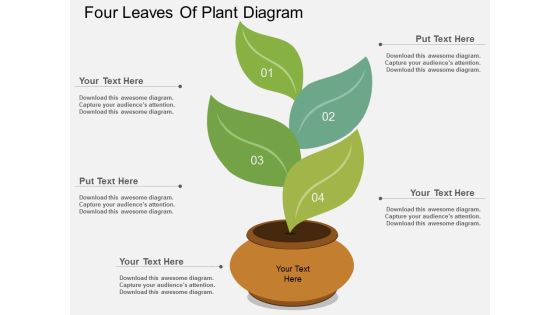 Four Leaves Of Plant Diagram Powerpoint Template Four Leaves Of Plant Diagram Powerpoint Template