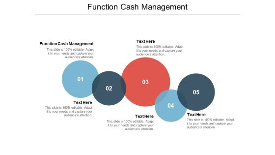 Function Cash Management Ppt PowerPoint Presentation Professional Graphics Download