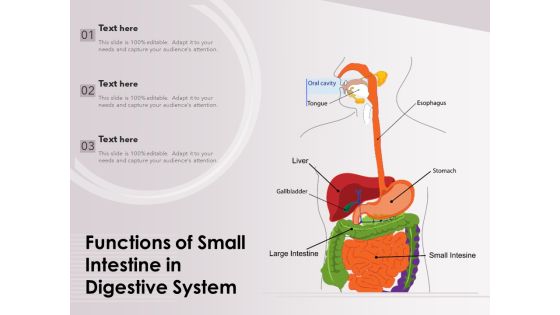 Functions Of Small Intestine In Digestive System Ppt PowerPoint Presentation Layouts Format PDF Functions Of Small Intestine In Digestive System Ppt PowerPoint Presentation Layouts Format PDF