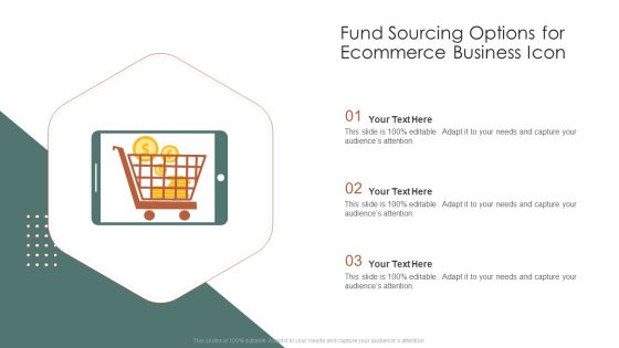 Fund Sourcing Options For Ecommerce Business Icon Ppt PowerPoint Presentation Layouts Template PDF
