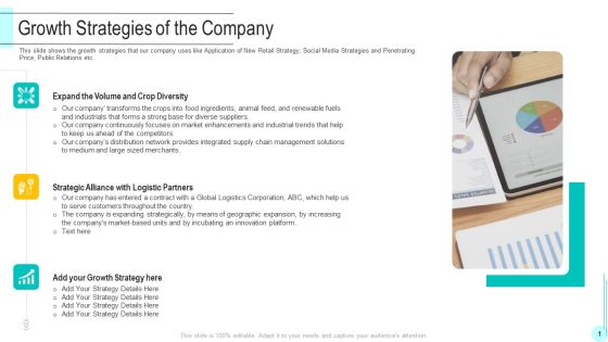 Funding Deck To Obtain Grant Facilities From Public Companies Growth Strategies Of The Company Mockup PDF
