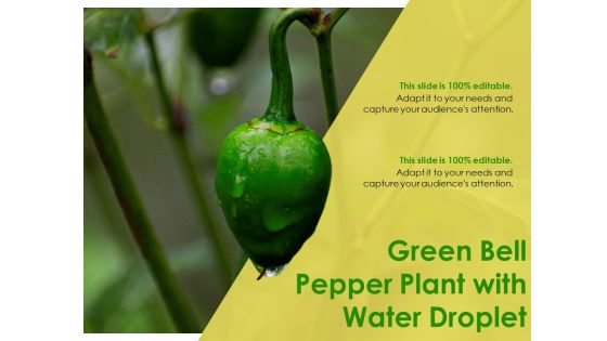 Green Bell Pepper Plant With Water Droplet Ppt PowerPoint Presentation Inspiration Graphics Template PDF