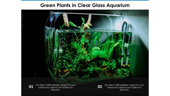 Green Plants In Clear Glass Aquarium Ppt PowerPoint Presentation Gallery Skills PDF Green Plants In Clear Glass Aquarium Ppt PowerPoint Presentation Gallery Skills PDF