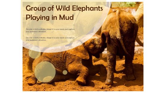 Group Of Wild Elephants Playing In Mud Ppt PowerPoint Presentation Ideas Shapes PDF Group Of Wild Elephants Playing In Mud Ppt PowerPoint Presentation Ideas Shapes PDF