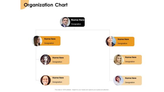 Growth Strategy And Growth Management Implementation Organization Chart Ppt Gallery File Formats PDF