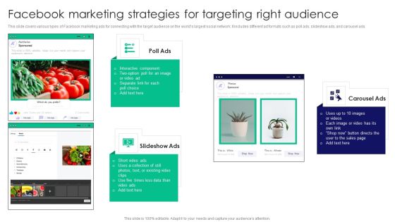 Guide To Business Customer Acquisition Facebook Marketing Strategies For Targeting Right Audience Infographics PDF Guide To Business Customer Acquisition Facebook Marketing Strategies For Targeting Right Audience Infographics PDF