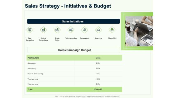 Guide To Overseas Expansion Plan For Corporate Entity Sales Strategy Initiatives And Budget Icons PDF