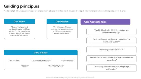 Guiding Principles Life Science And Healthcare Solutions Company Profile Icons PDF Guiding Principles Life Science And Healthcare Solutions Company Profile Icons PDF