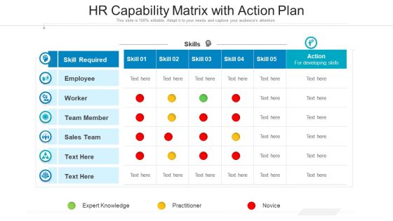 HR Capability Matrix With Action Plan Ppt Show Graphic Tips PDF