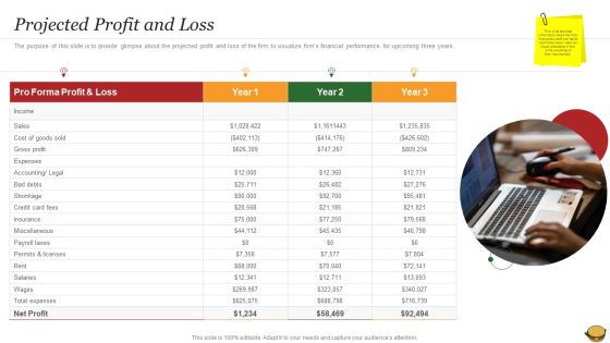 Hamburger Commerce Company Analysis Projected Profit And Loss Sample PDF Hamburger Commerce Company Analysis Projected Profit And Loss Sample PDF