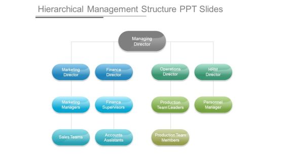 Hierarchical Management Structure Ppt Slides Hierarchical Management Structure Ppt Slides