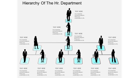 Hierarchy Of The Hr Department Powerpoint Templates Hierarchy Of The Hr Department Powerpoint Templates