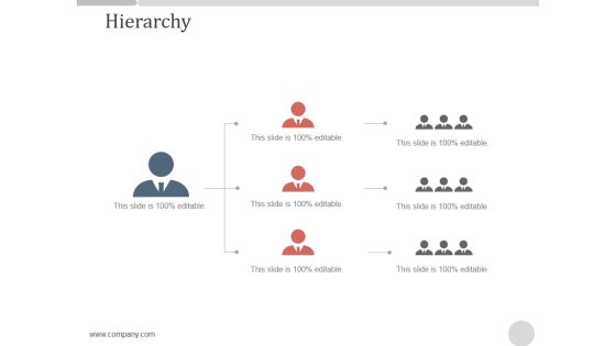 Hierarchy Ppt PowerPoint Presentation Designs Hierarchy Ppt PowerPoint Presentation Designs