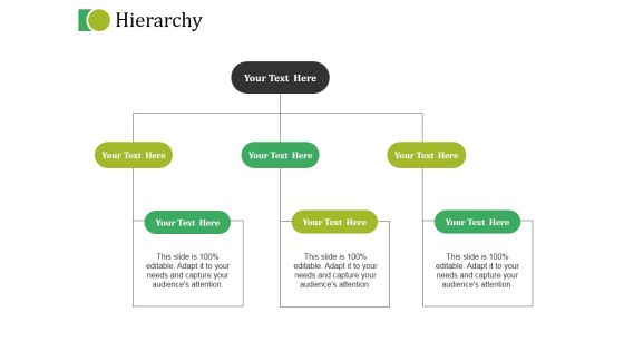Hierarchy Ppt PowerPoint Presentation Infographics Format Ideas