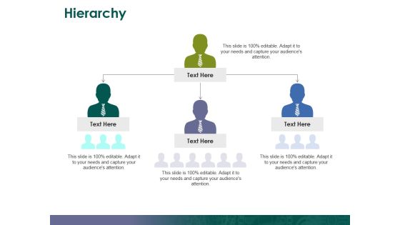 Hierarchy Ppt PowerPoint Presentation Outline Examples Hierarchy Ppt PowerPoint Presentation Outline Examples