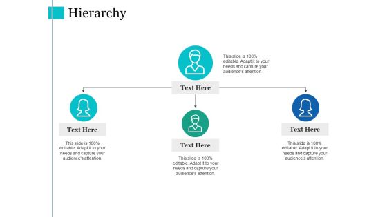 Hierarchy Ppt PowerPoint Presentation Pictures Graphics Hierarchy Ppt PowerPoint Presentation Pictures Graphics