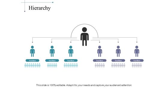 Hierarchy Ppt PowerPoint Presentation Portfolio Deck