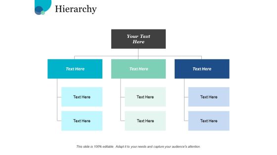 Hierarchy Process Ppt PowerPoint Presentation File Background Designs