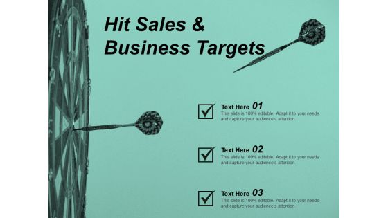 Hit Sales And Business Targets Ppt Powerpoint Presentation Summary Format