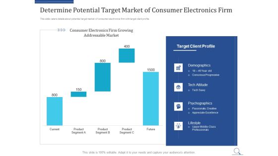 Home Appliances Producer Seed Determine Potential Target Market Of Consumer Electronics Firm Summary PDF Home Appliances Producer Seed Determine Potential Target Market Of Consumer Electronics Firm Summary PDF
