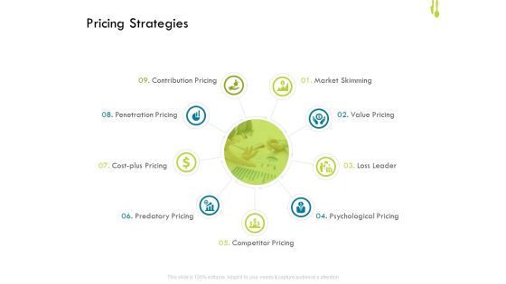 Hotel Management Plan Pricing Strategies Professional PDF
