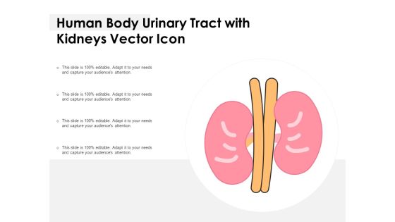 Human Body Urinary Tract With Kidneys Vector Icon Ppt PowerPoint Presentation Icon Model PDF Human Body Urinary Tract With Kidneys Vector Icon Ppt PowerPoint Presentation Icon Model PDF