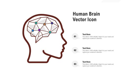 Human Brain Vector Icon Ppt PowerPoint Presentation Styles Aids Human Brain Vector Icon Ppt PowerPoint Presentation Styles Aids