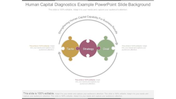 Human Capital Diagnostics Example Powerpoint Slide Background Human Capital Diagnostics Example Powerpoint Slide Background