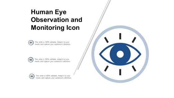 Human Eye Observation And Monitoring Icon Ppt Powerpoint Presentation Slides Background Designs