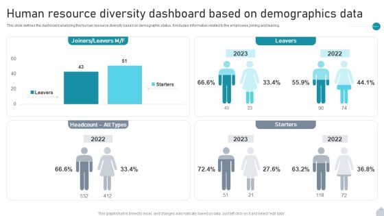 Human Resource Diversity Dashboard Based On Demographics Data Rules PDF