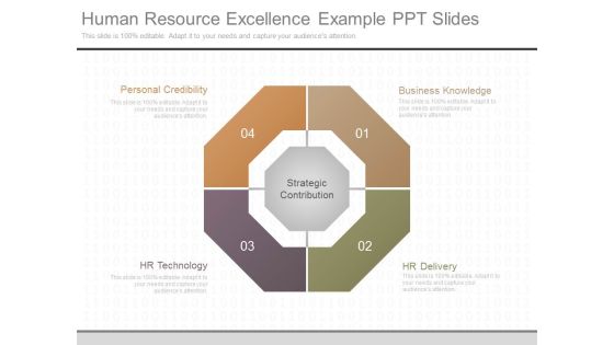 Human Resource Excellence Example Ppt Slides