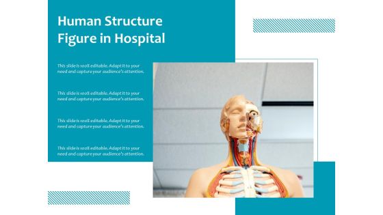 Human Structure Figure In Hospital Ppt PowerPoint Presentation Icon Background Images PDF Human Structure Figure In Hospital Ppt PowerPoint Presentation Icon Background Images PDF