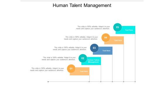 Human Talent Management Ppt PowerPoint Presentation Layouts Guidelines Cpb