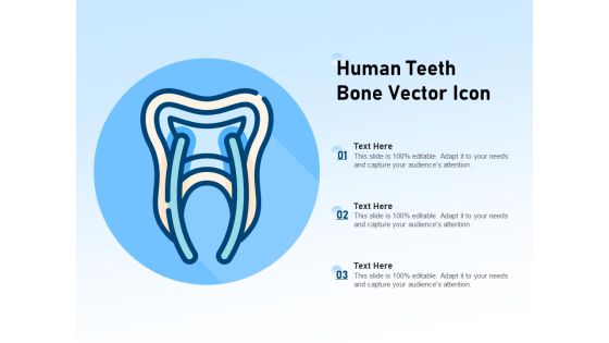 Human Teeth Bone Vector Icon Ppt PowerPoint Presentation Gallery Format PDF