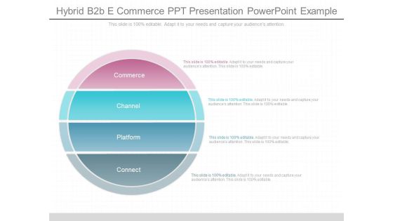 Hybrid B2b E Commerce Ppt Presentation Powerpoint Example Hybrid B2b E Commerce Ppt Presentation Powerpoint Example